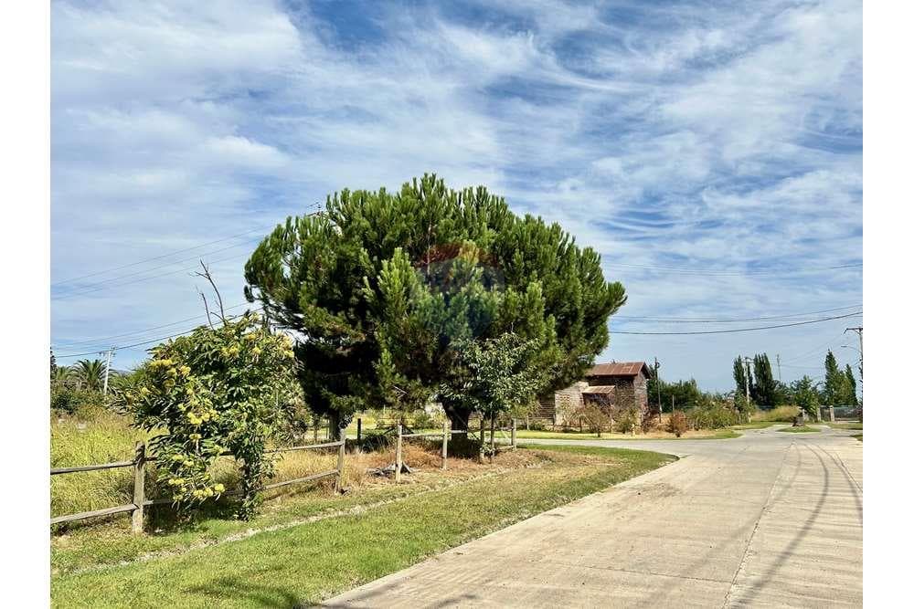 Terreno · Venta
