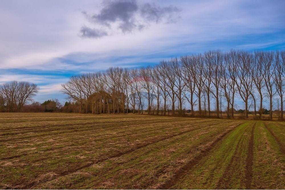 Terreno · Venta