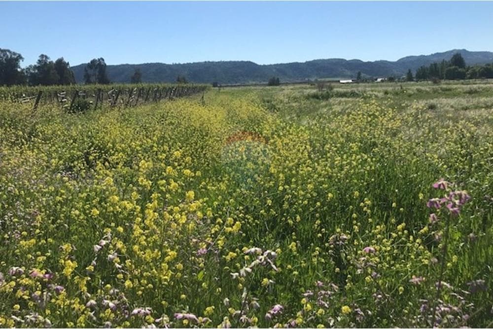 Parcela de agrado · Venta